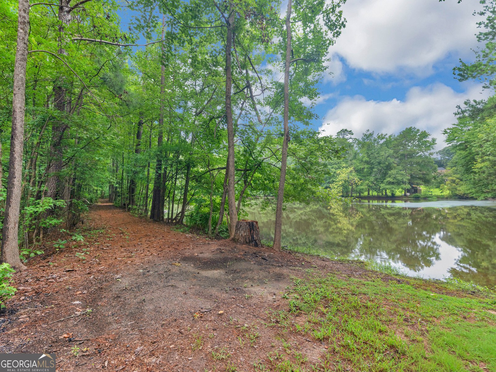 50 Ridge Pointe Stockbridge - Photo 38
