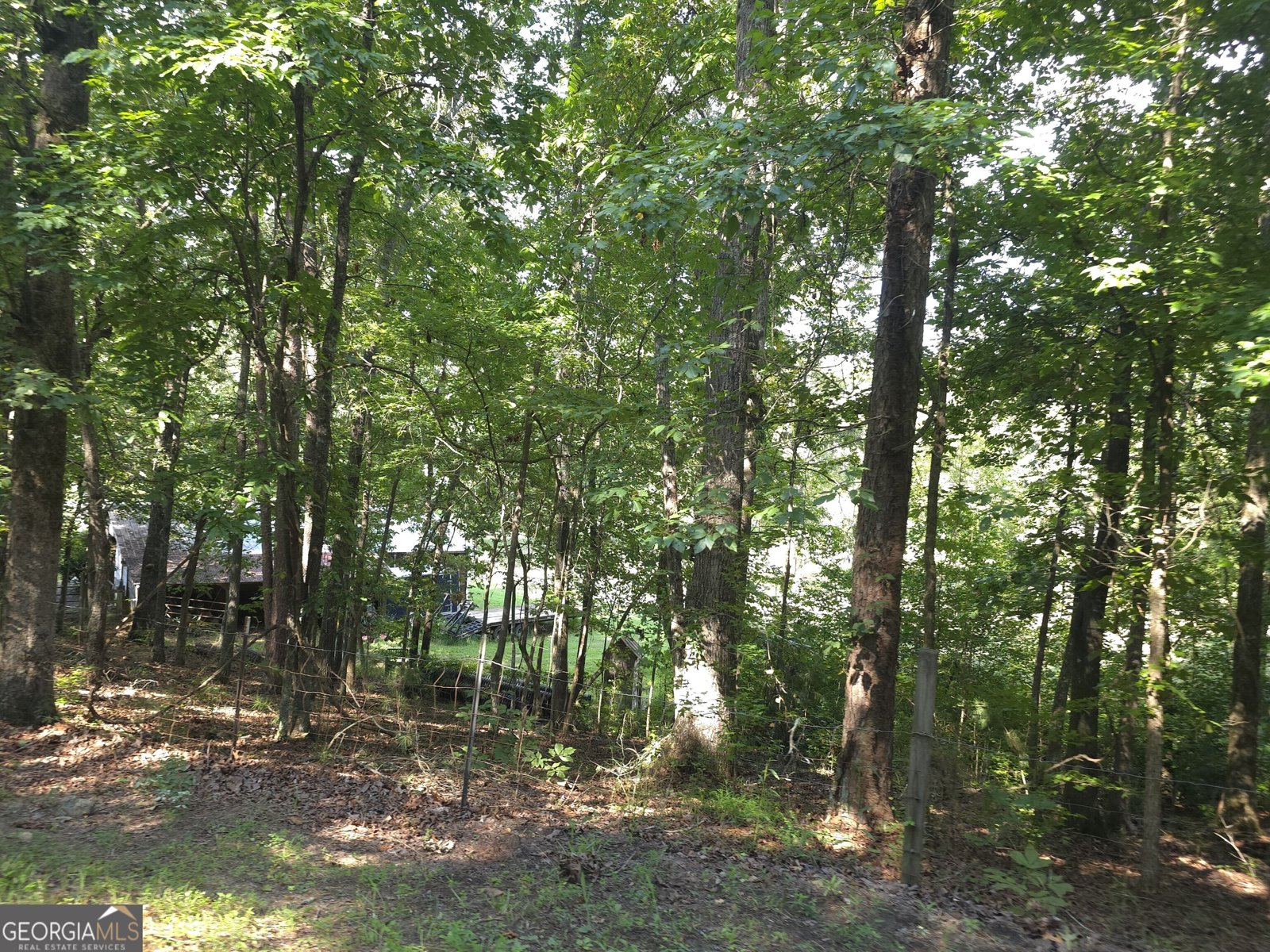 363 Griffin Road Cartersville - Photo 19