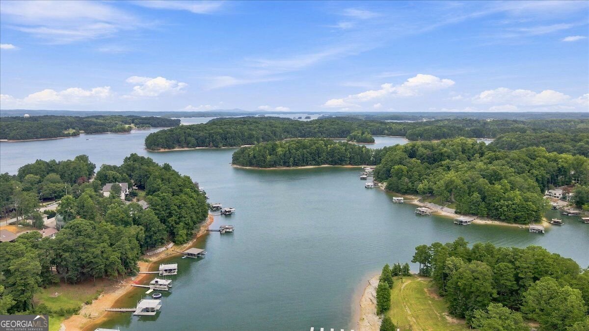 6458 Lanier Harbor Landing Buford - Photo 54