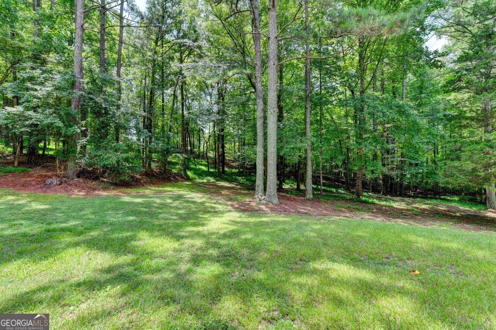 4845 Grady Smith Road Loganville - Photo 92