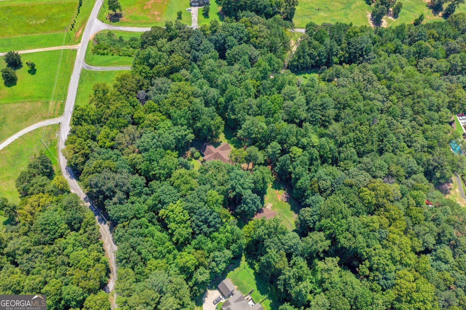 4845 Grady Smith Road Loganville - Photo 94
