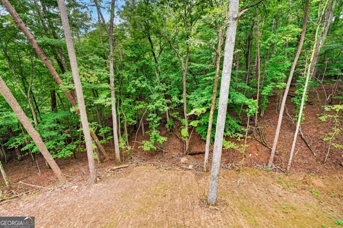 579 Julep Court Ellijay - Photo 24