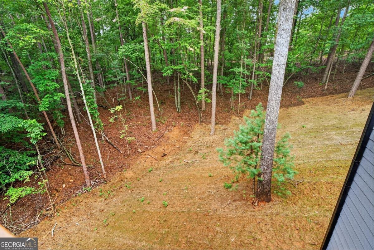 579 Julep Court Ellijay - Photo 26
