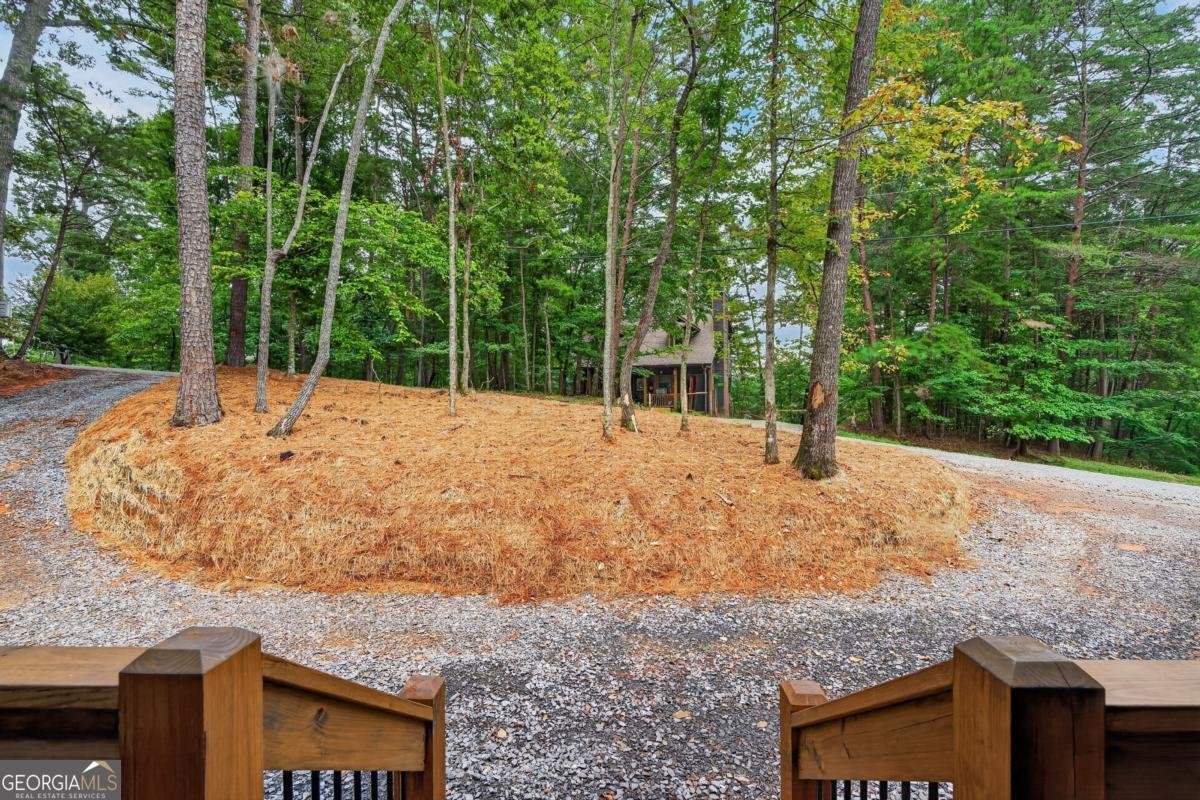 579 Julep Court Ellijay - Photo 27