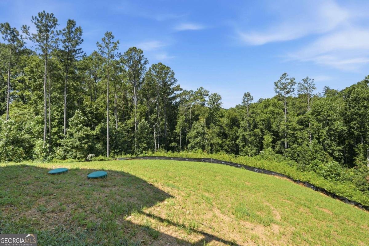 2956 Blalock Mountain Road Talking Rock - Photo 50