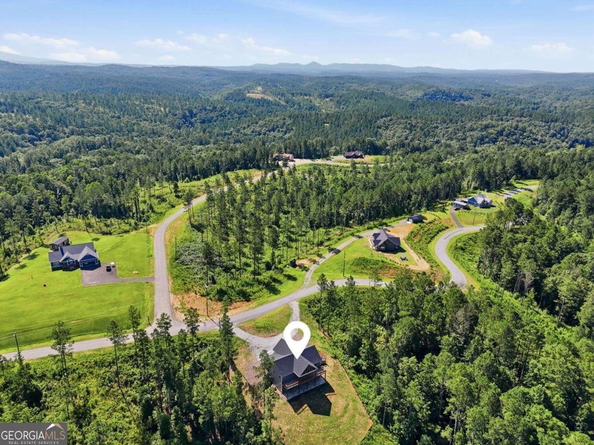 2956 Blalock Mountain Road Talking Rock - Photo 53