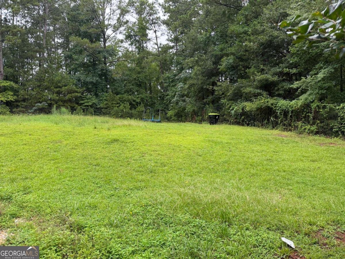 311 Wyldewood Drive Mcdonough - Photo 32