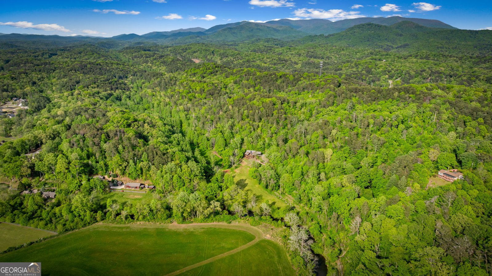 460 Wikle Drive Ellijay - Photo 81
