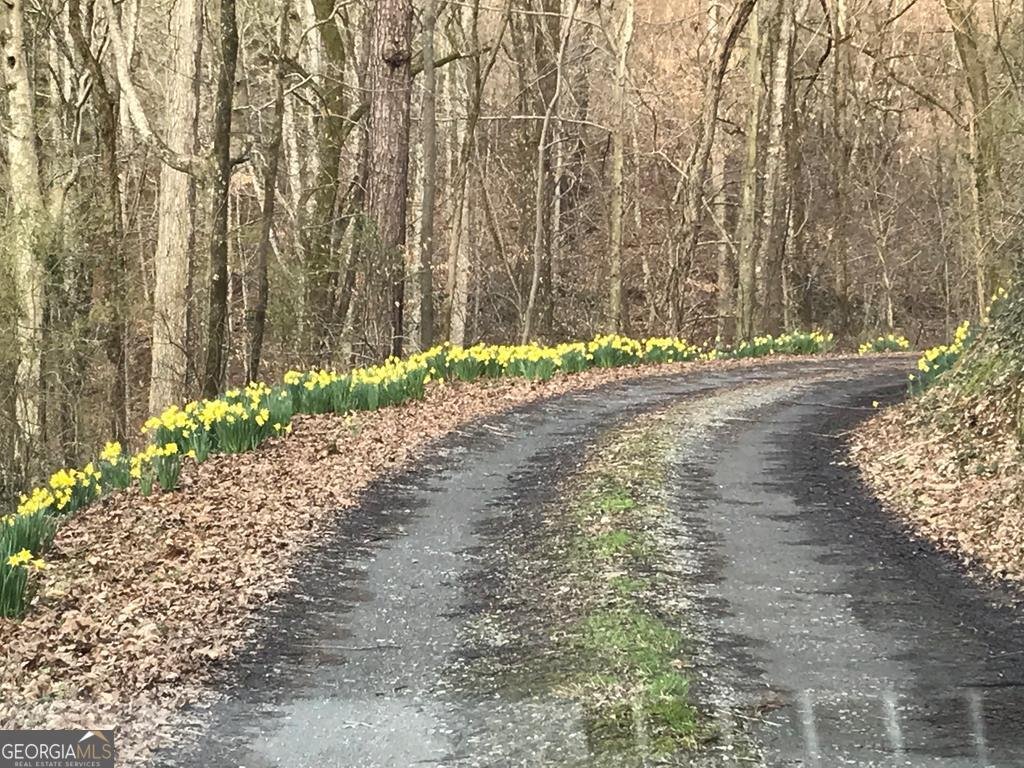 460 Wikle Drive Ellijay - Photo 83