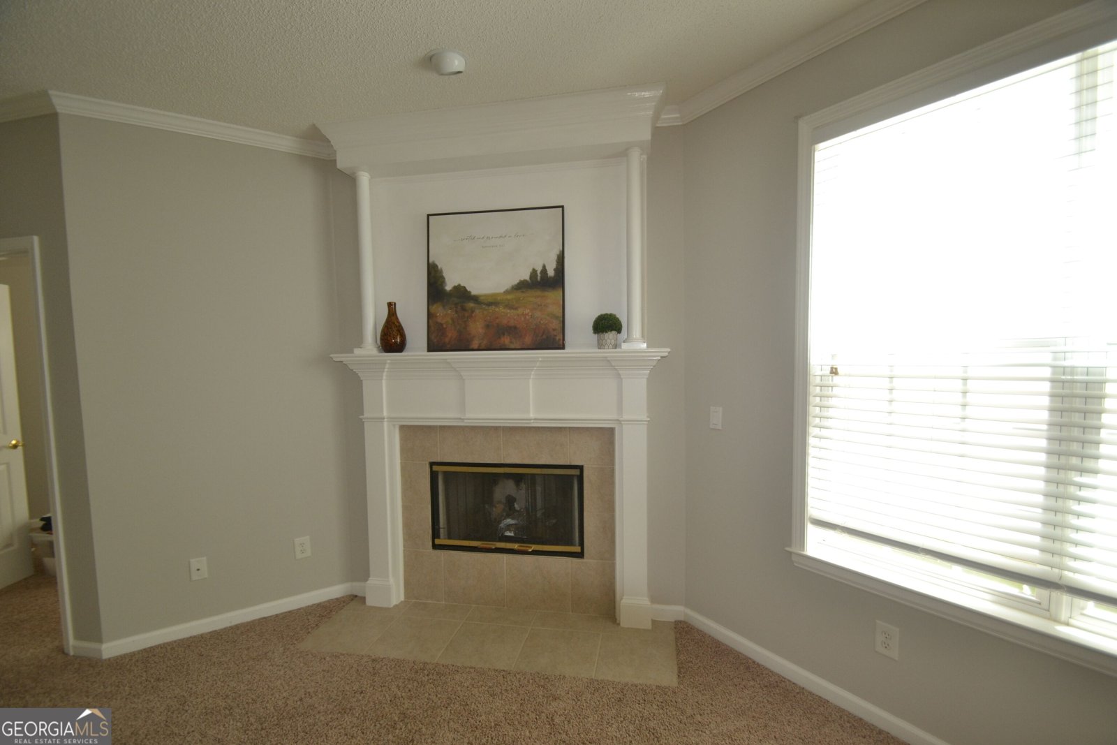 36 Ginger Gold Drive Newnan - Photo 6