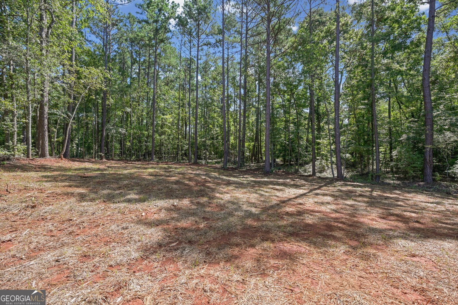 103 Woodhaven Drive Eatonton - Photo 27
