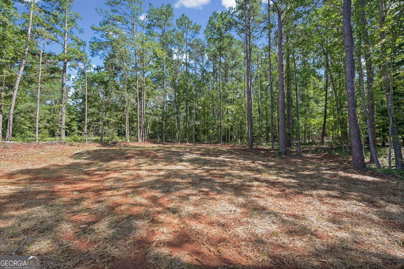 103 Woodhaven Drive Eatonton - Photo 28