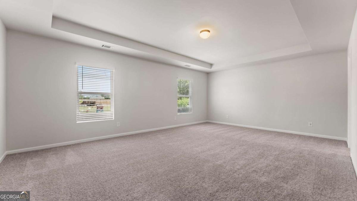505 Hayes Lane Canton - Photo 10