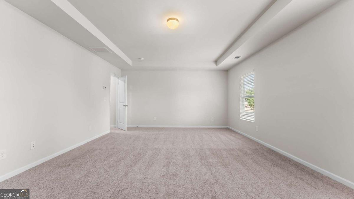 505 Hayes Lane Canton - Photo 11