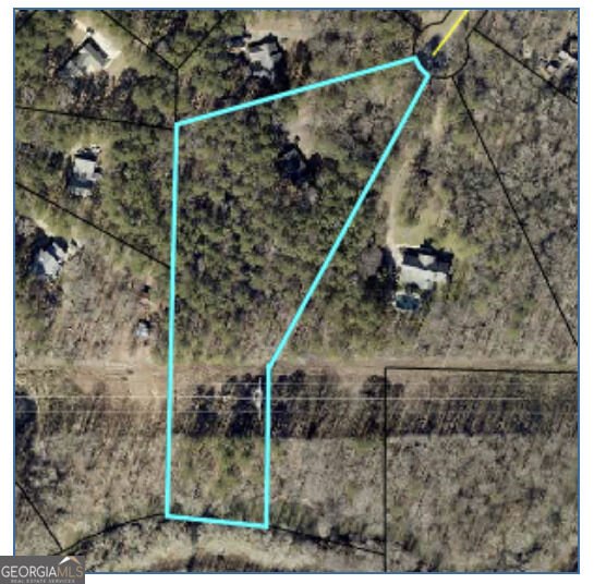 112 Singletree Stockbridge - Photo 47