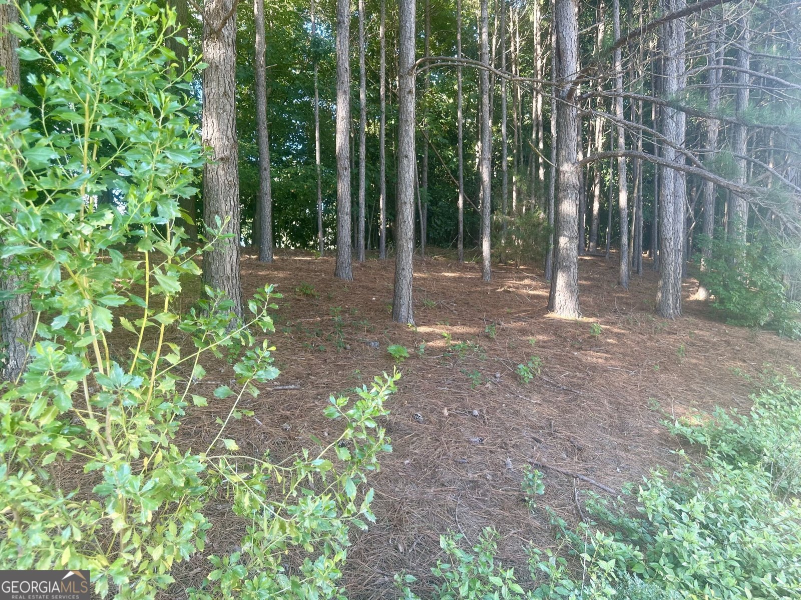 864 Crescent Ln Griffin - Photo 33