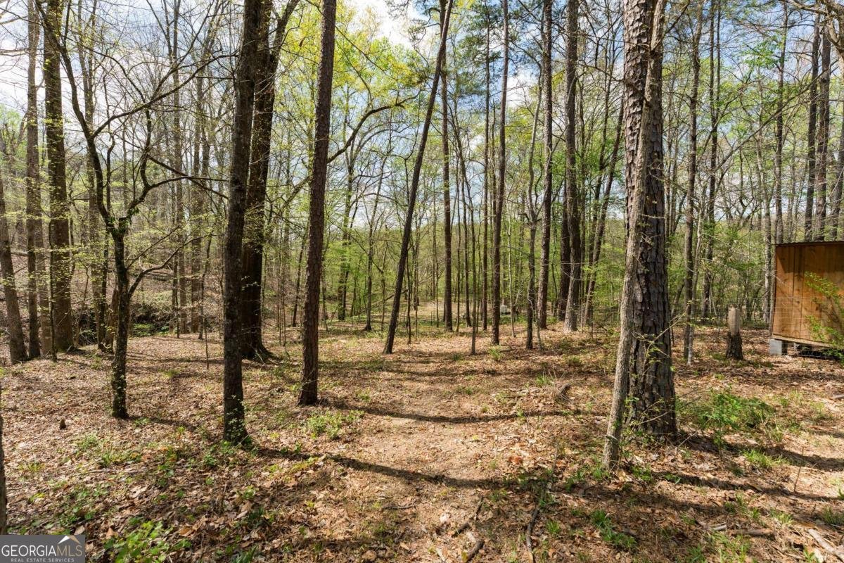 401 Blossom Trail Acworth - Photo 74