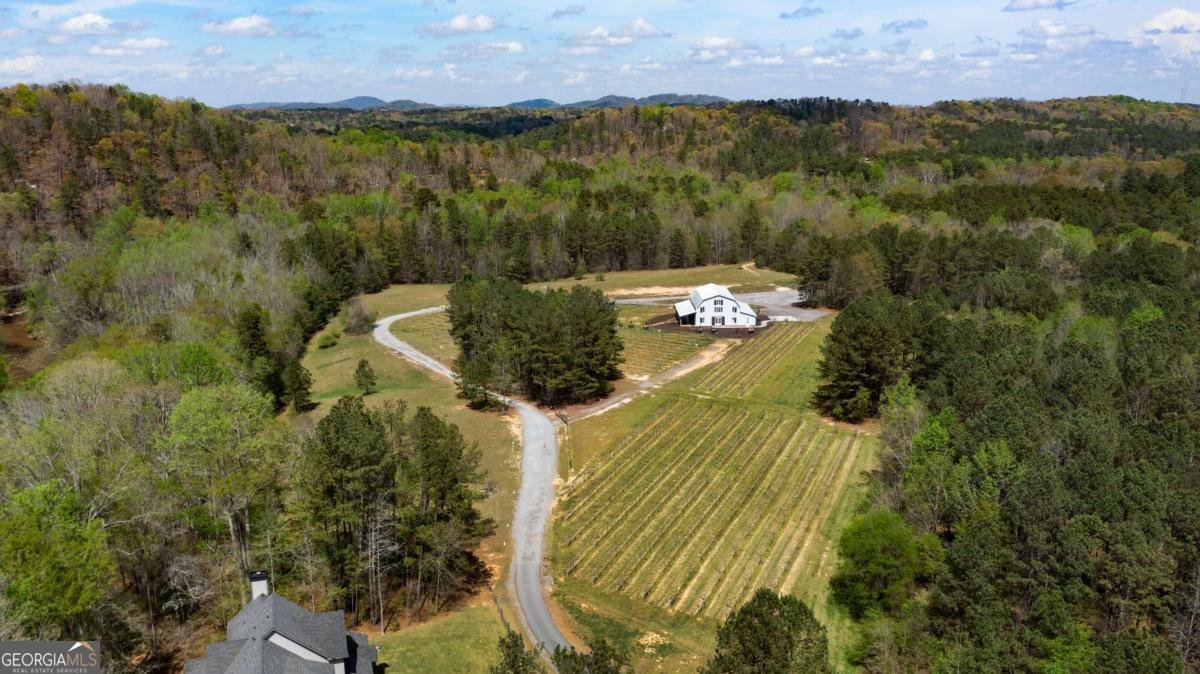 401 Blossom Trail Acworth - Photo 79