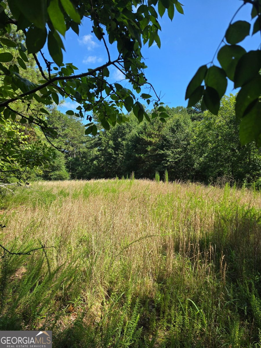 948 Hightower Trail Oxford - Photo 16