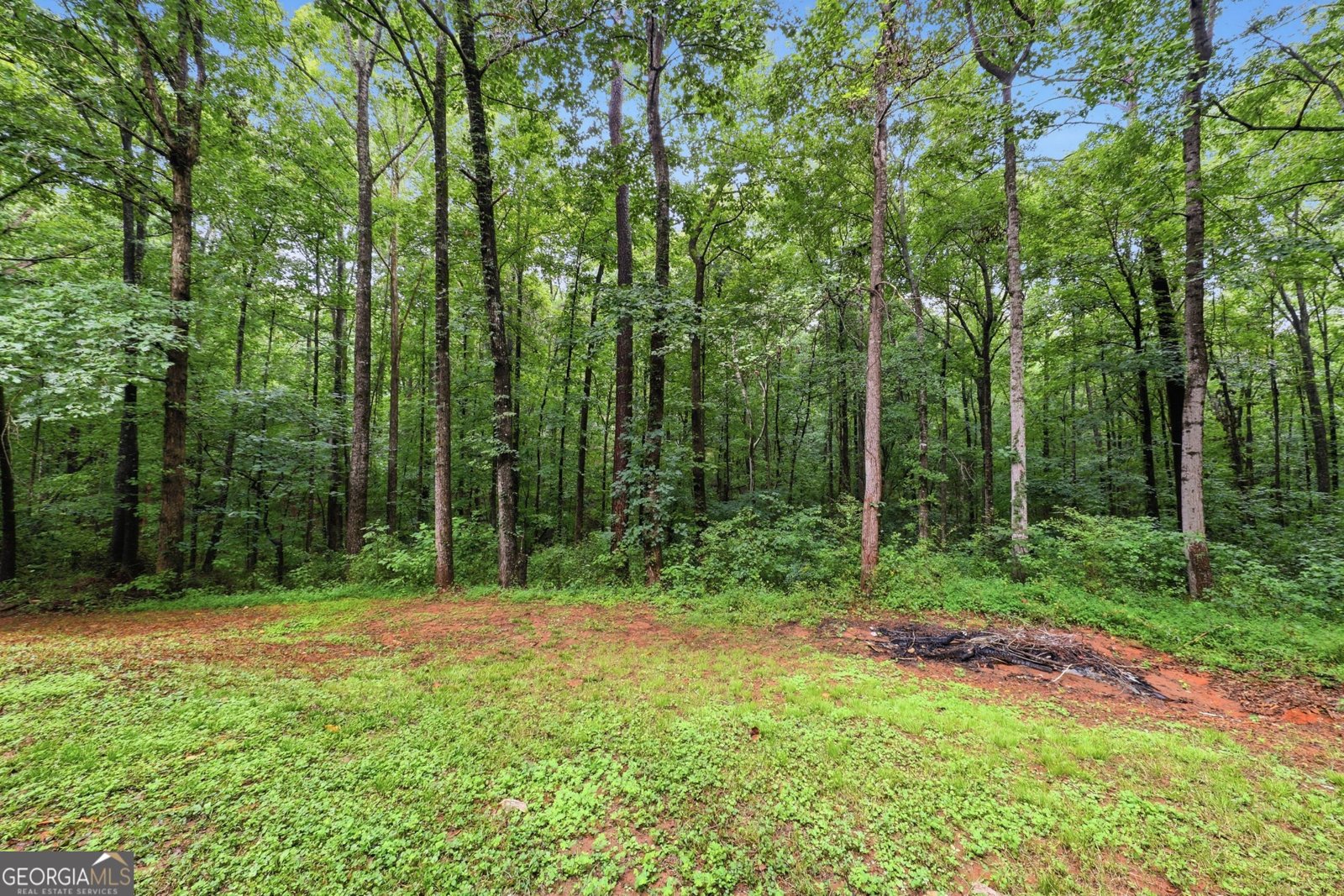 208 Foxdale Court Lagrange - Photo 36