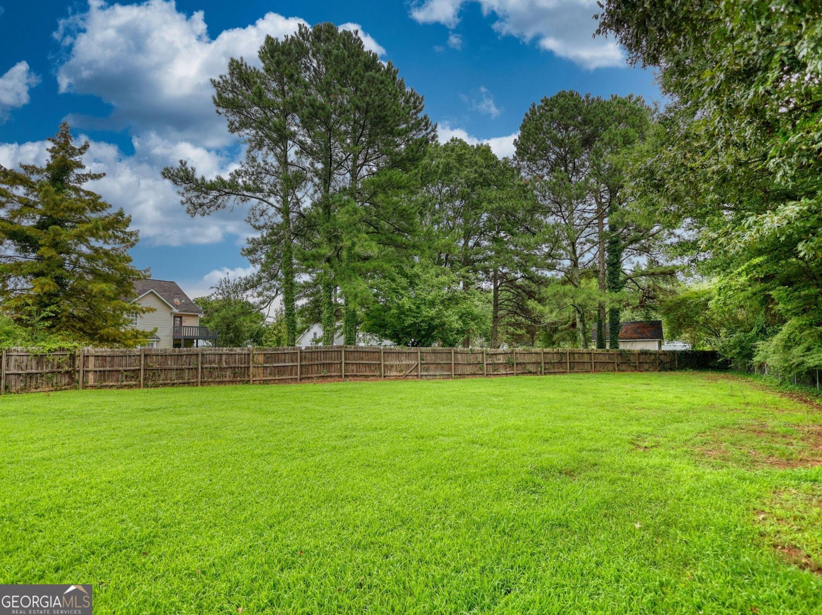 123 The Esplanade Way Loganville - Photo 47