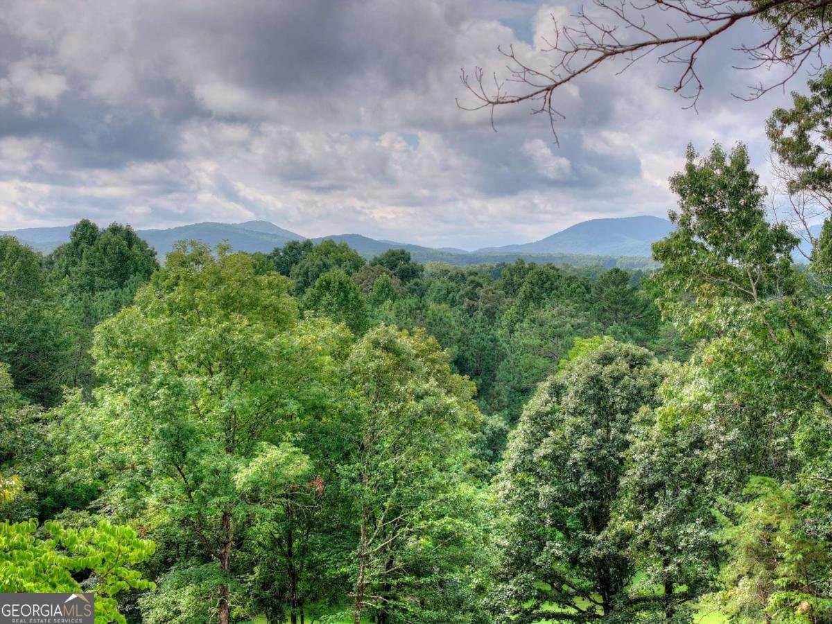 214 Ethan Wilson Way Morganton - Photo 28