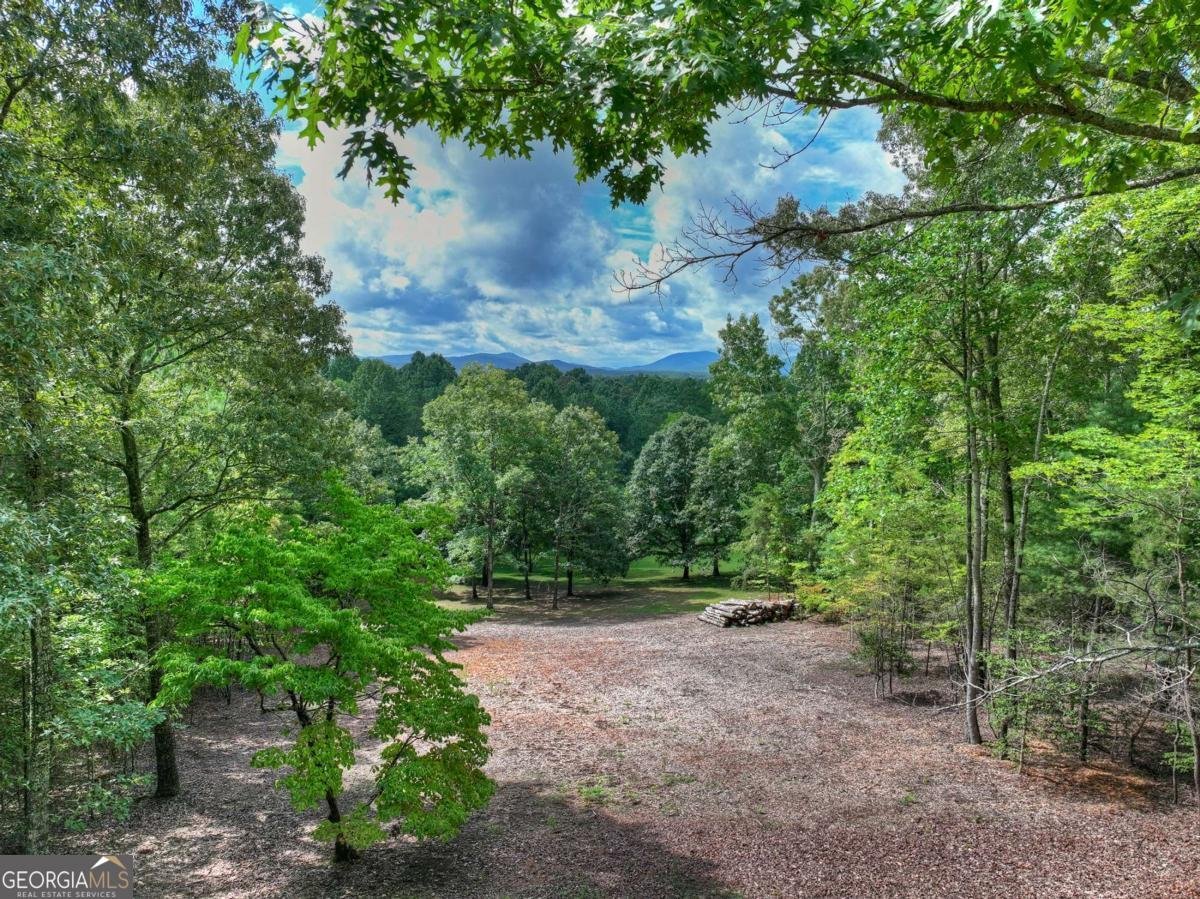 214 Ethan Wilson Way Morganton - Photo 32