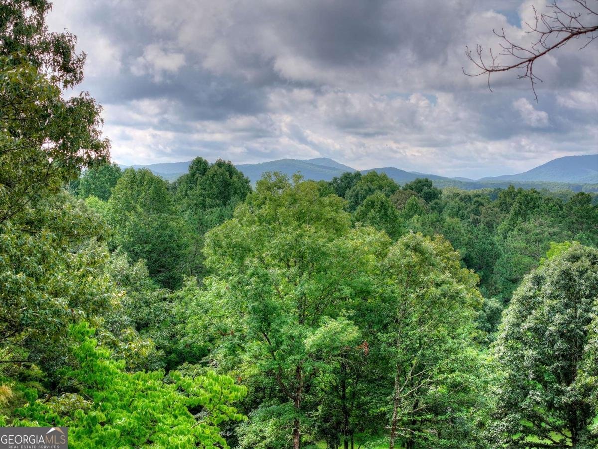 214 Ethan Wilson Way Morganton - Photo 47