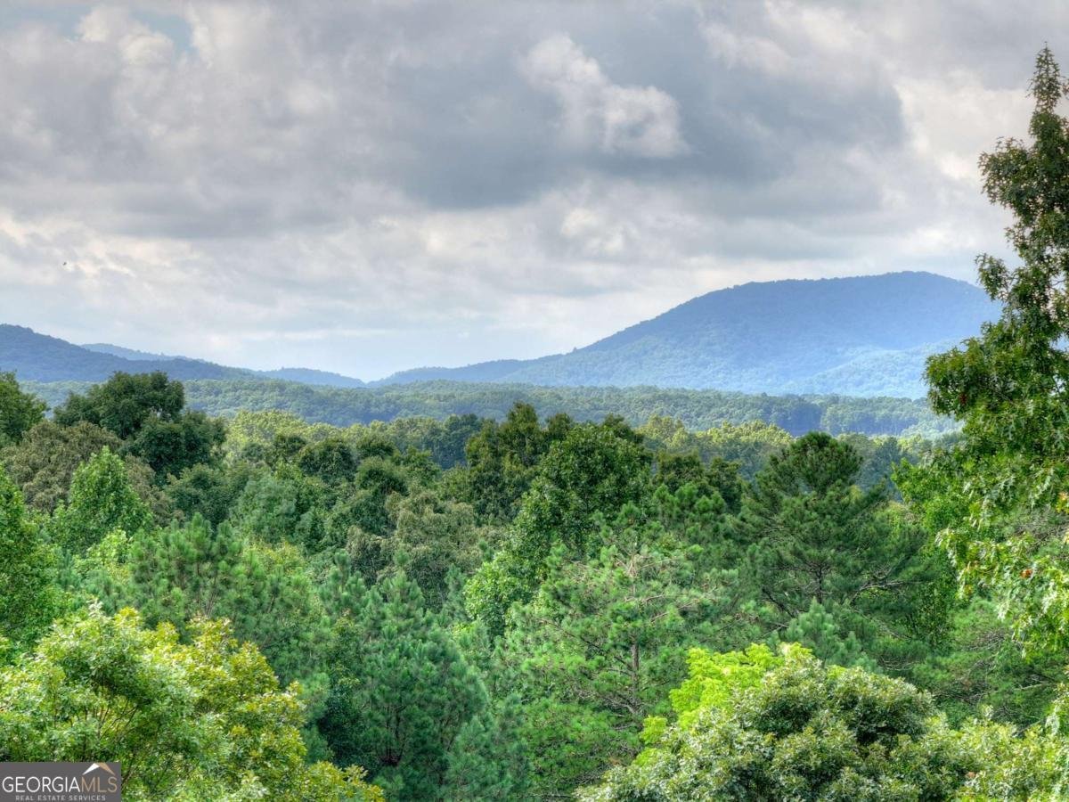 214 Ethan Wilson Way Morganton - Photo 48