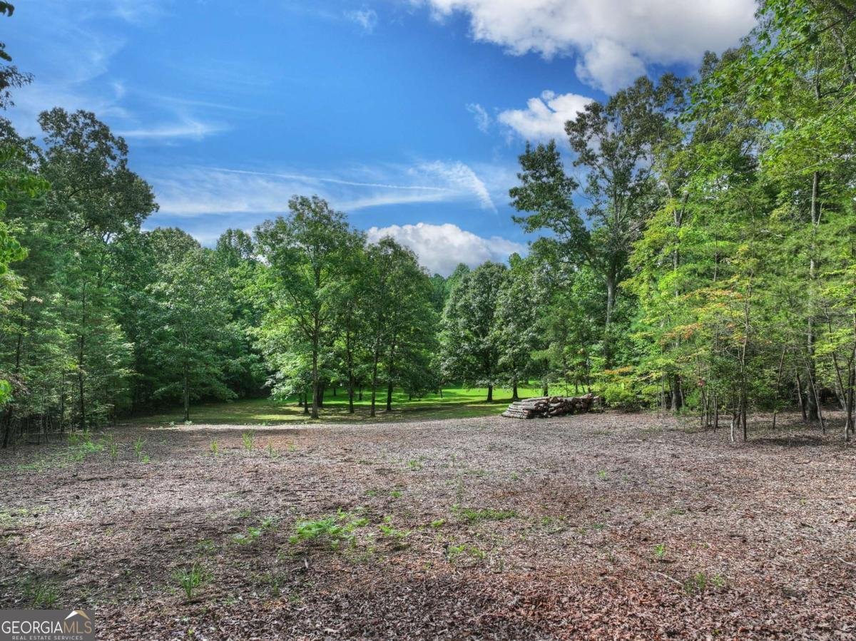 214 Ethan Wilson Way Morganton - Photo 68
