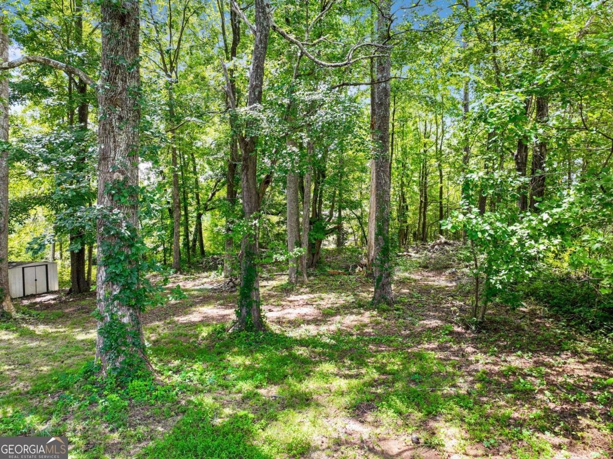 3918 Sherwood Drive Douglasville - Photo 21