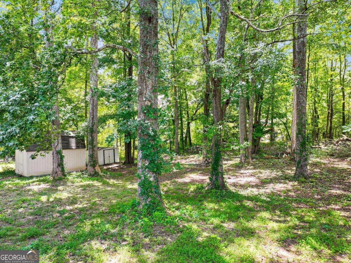 3918 Sherwood Drive Douglasville - Photo 22