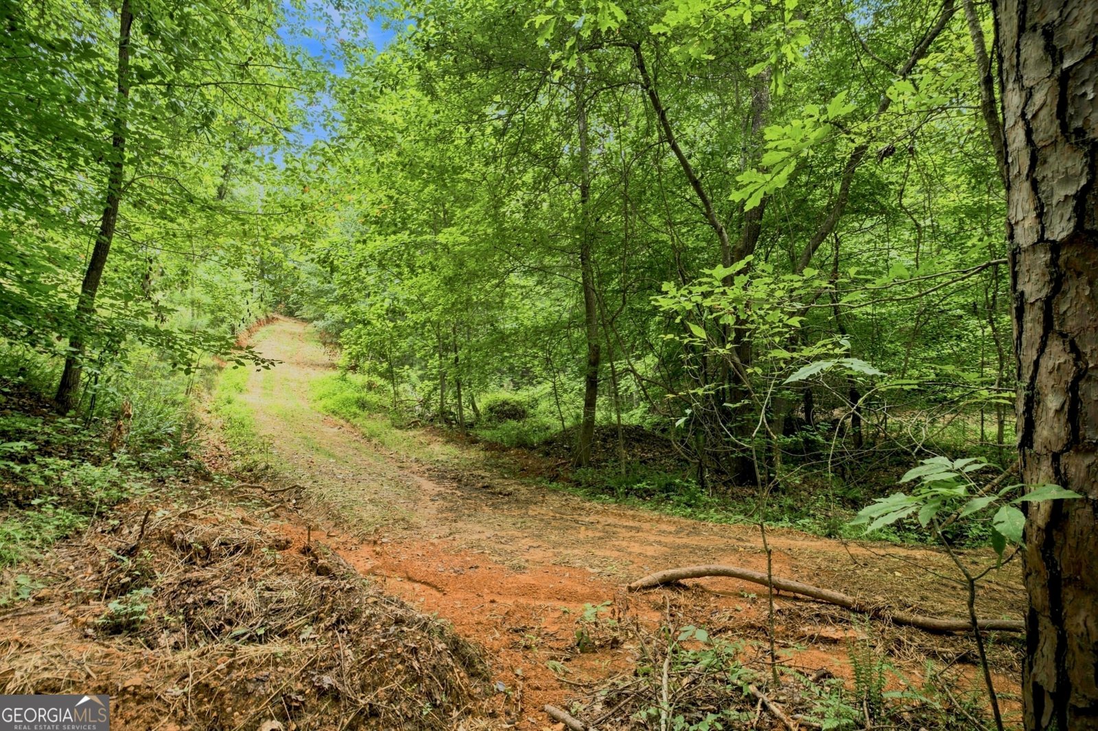 2956 Old Dalton Road Rome - Photo 64