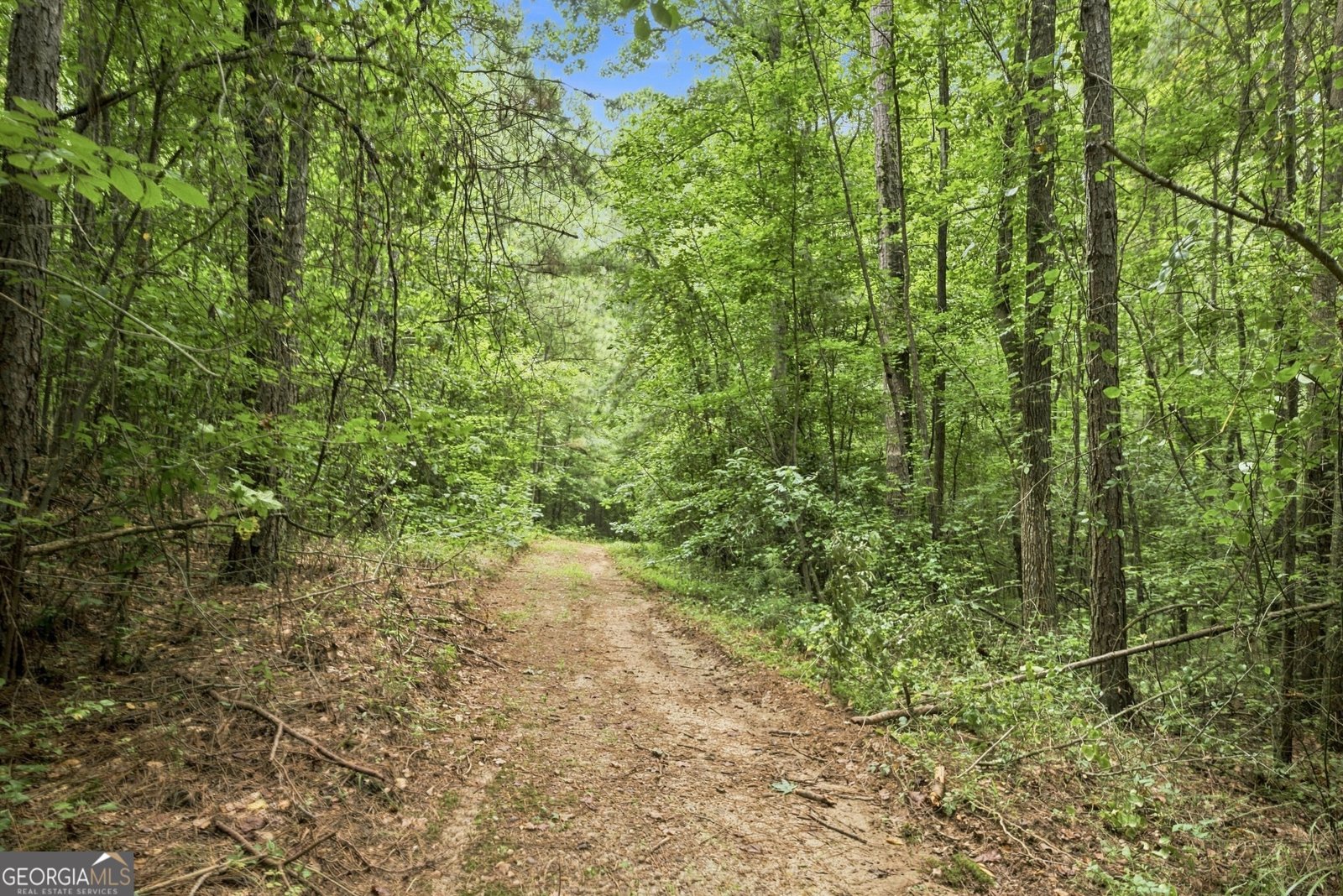 2956 Old Dalton Road Rome - Photo 66