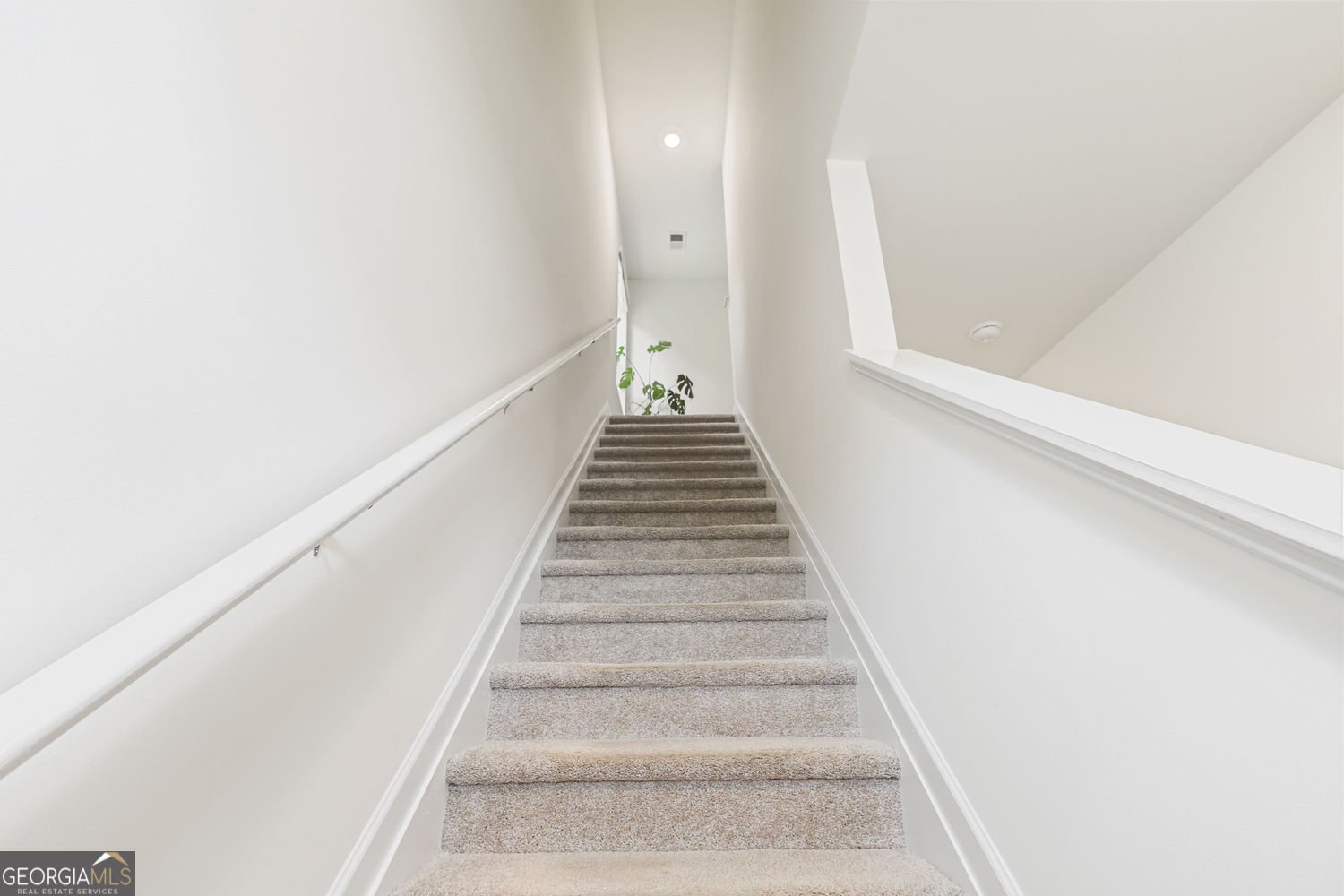 480 Shasta Court Hoschton - Photo 20