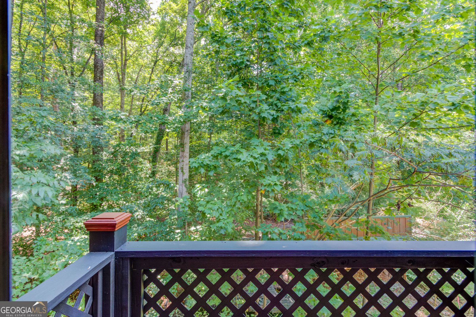 6893 Lakeside Place Gainesville - Photo 27