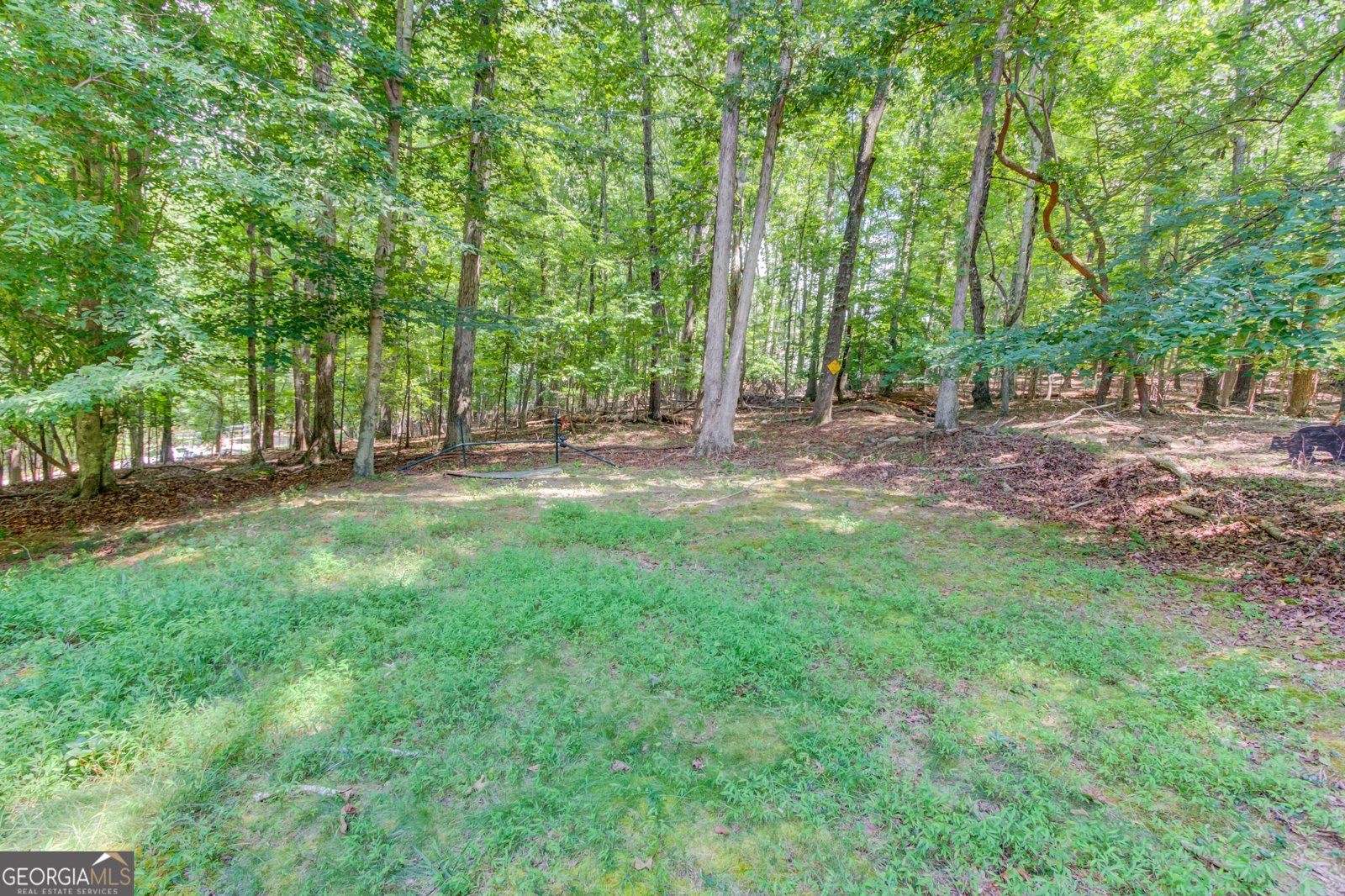 6893 Lakeside Place Gainesville - Photo 43