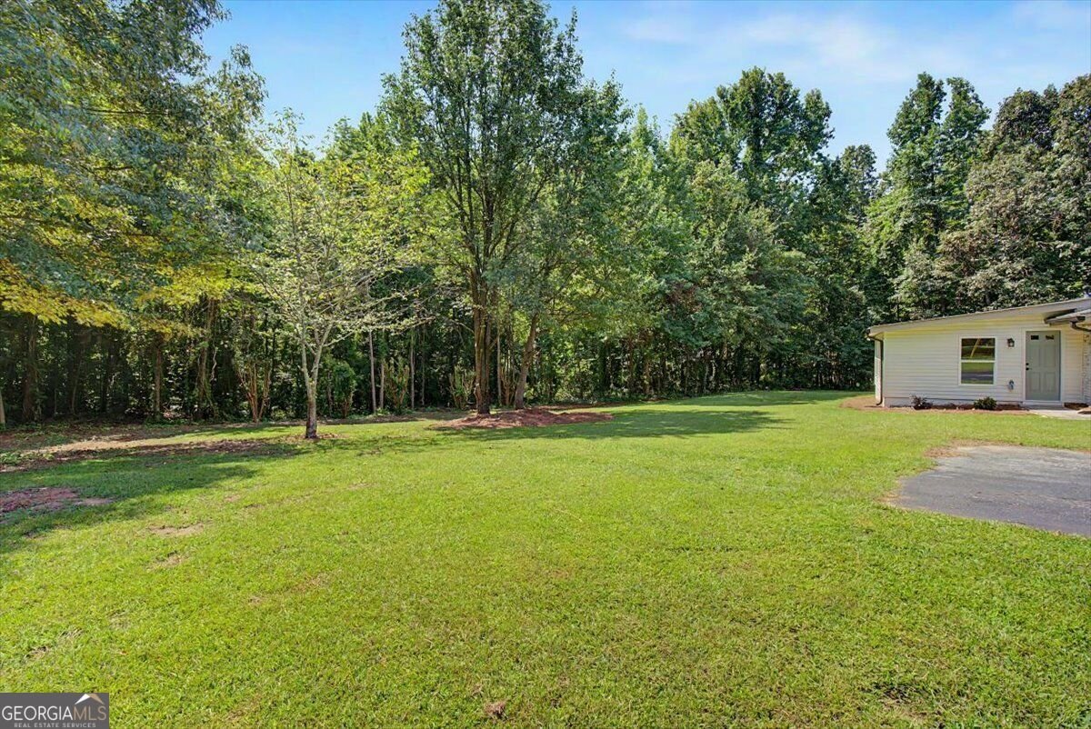 3986 Bearden Lane Douglasville - Photo 42