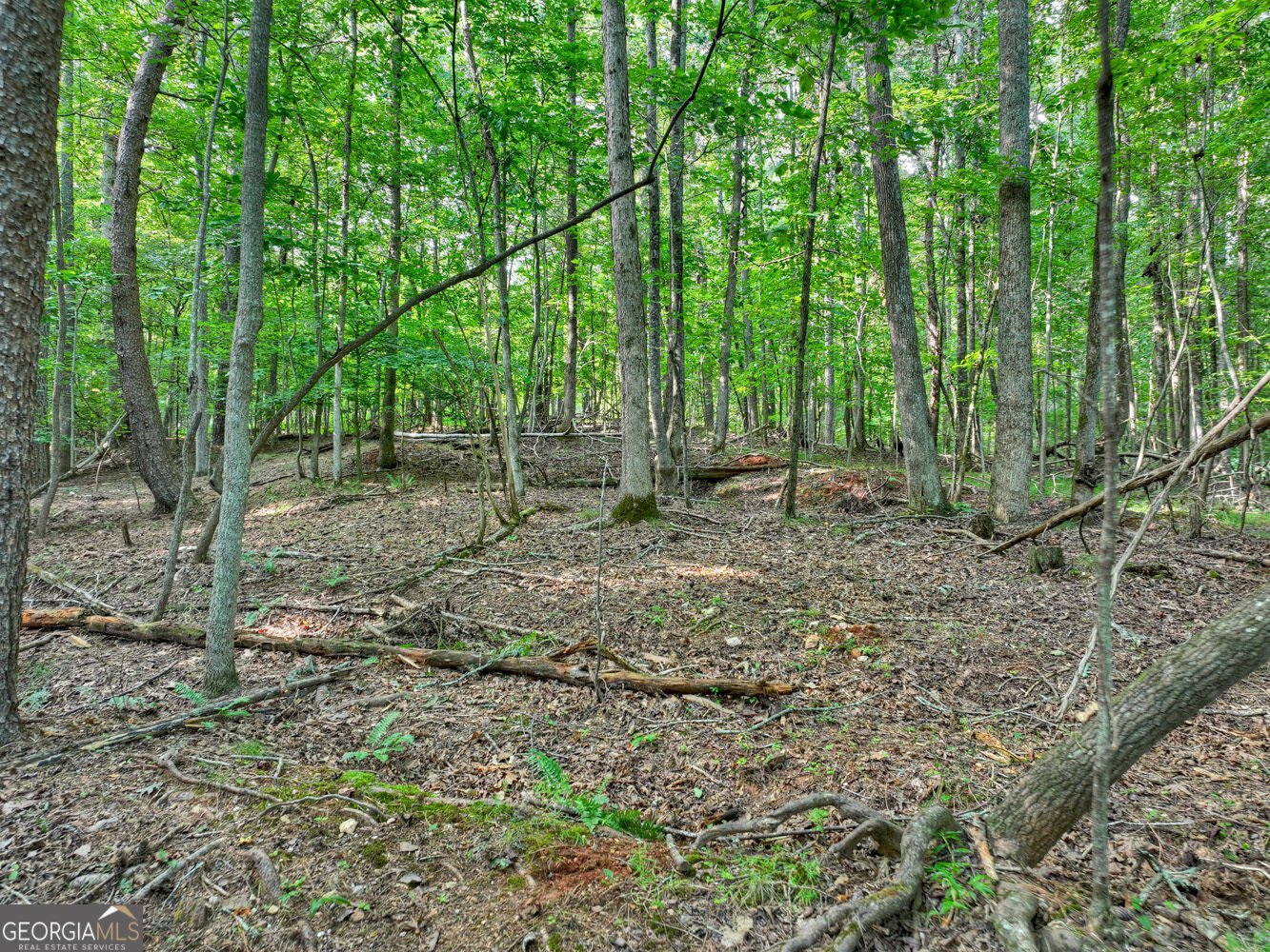 267 Sharp Mountain Parkway Jasper - Photo 72