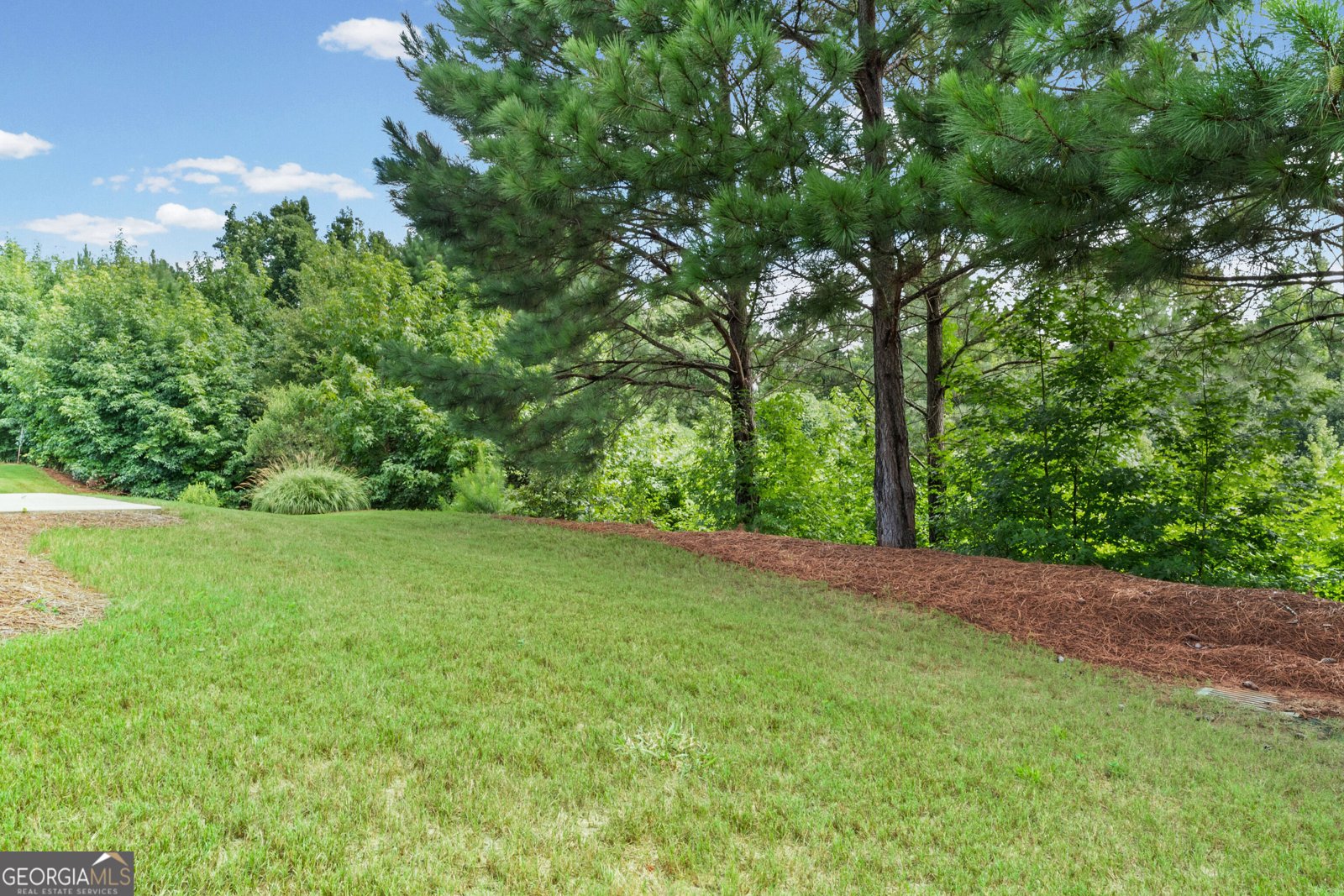 329 Sandy Springs Drive Griffin - Photo 33