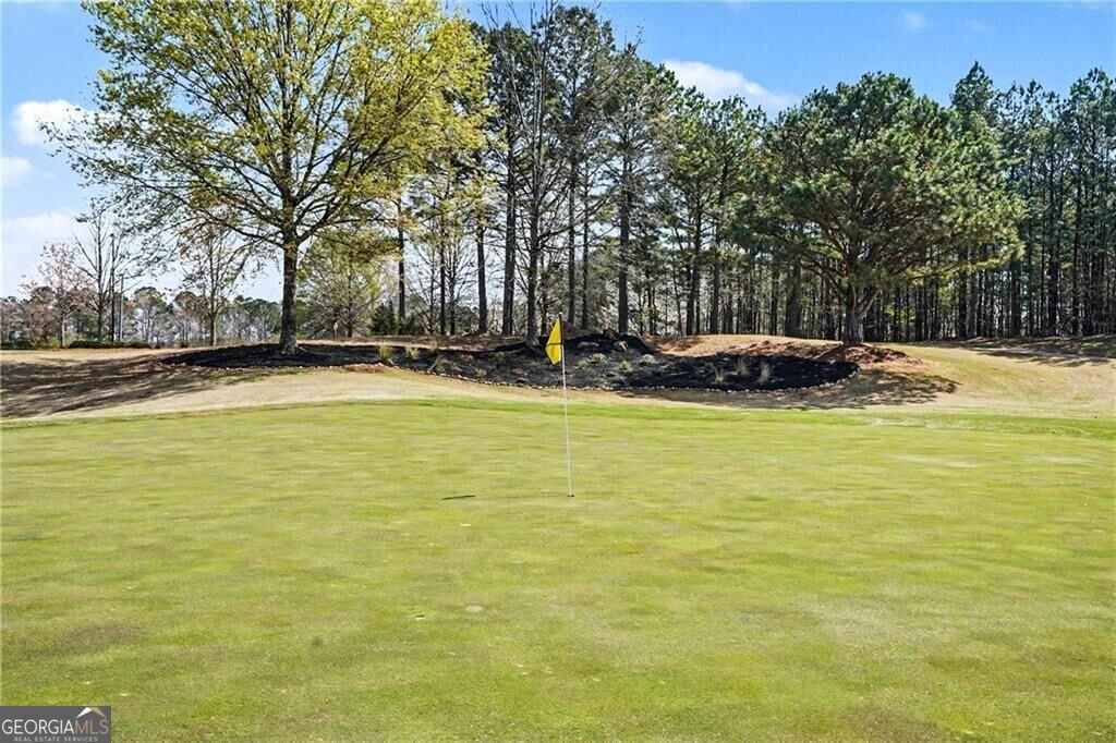 329 Sandy Springs Drive Griffin - Photo 46