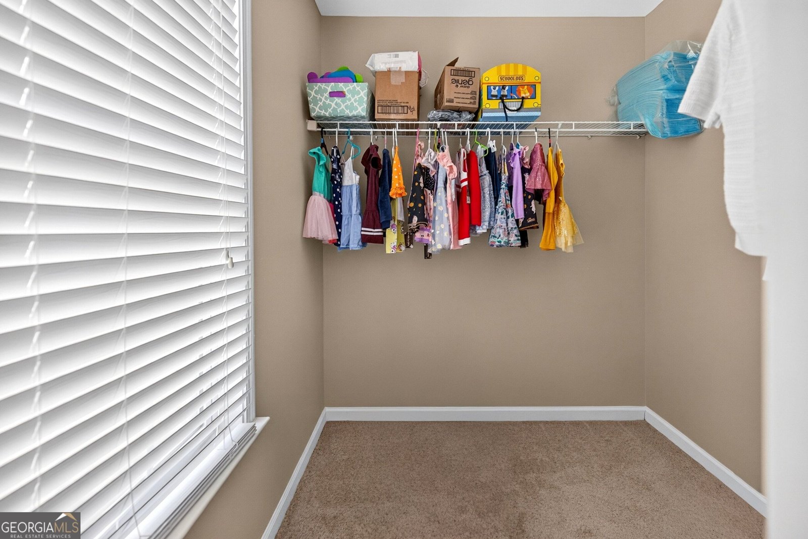 105 Mulberry Drive Senoia - Photo 31