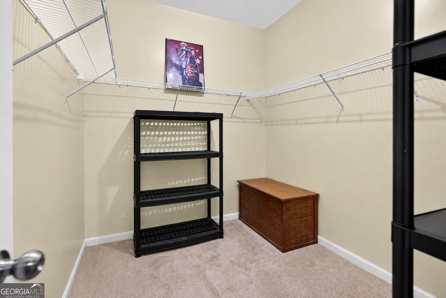 105 Mulberry Drive Senoia - Photo 44