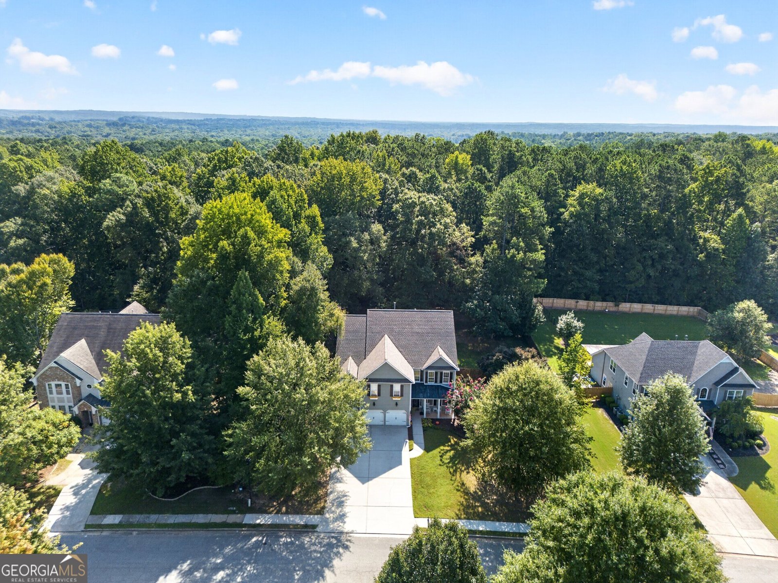 105 Mulberry Drive Senoia - Photo 60