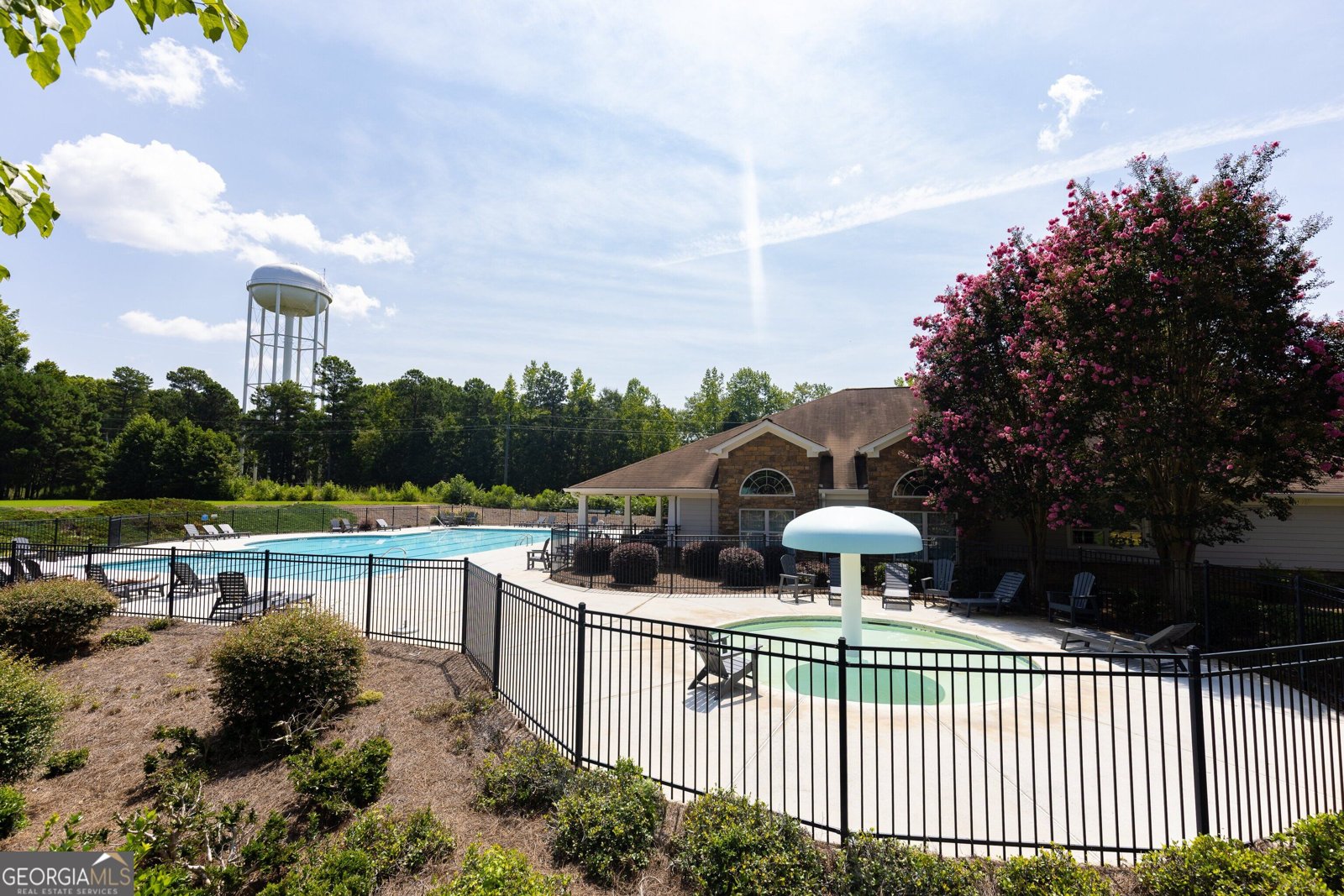 105 Mulberry Drive Senoia - Photo 63