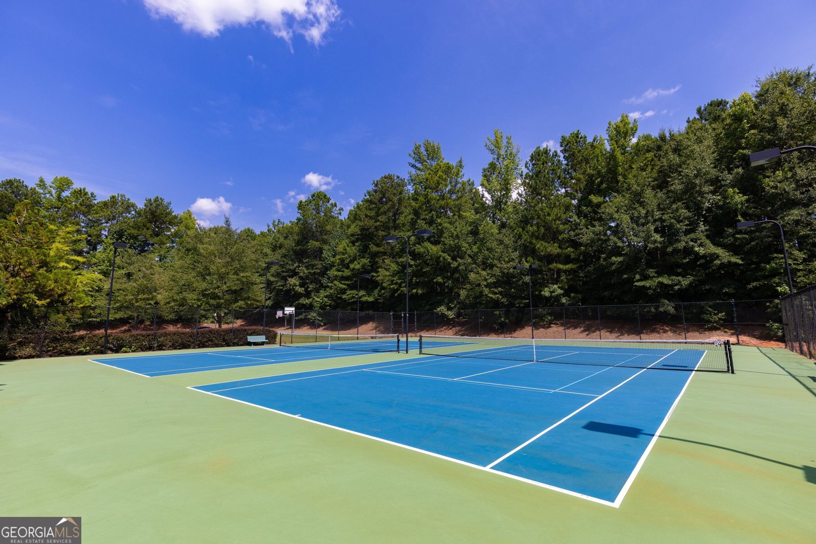 105 Mulberry Drive Senoia - Photo 64
