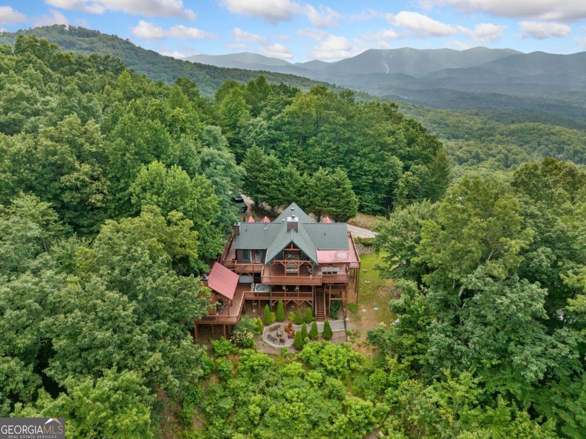 551 Amy Creek Circle Ellijay - Photo 47