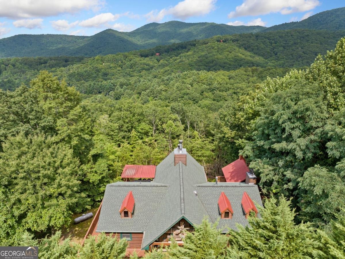 551 Amy Creek Circle Ellijay - Photo 48