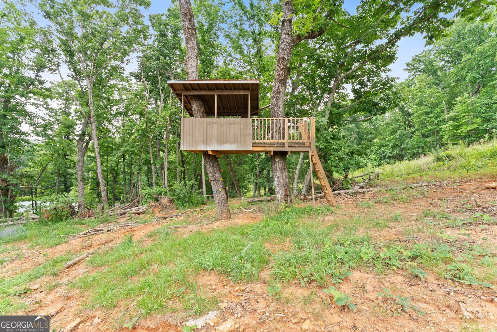 1625 Asbury Mill Road Cleveland - Photo 39