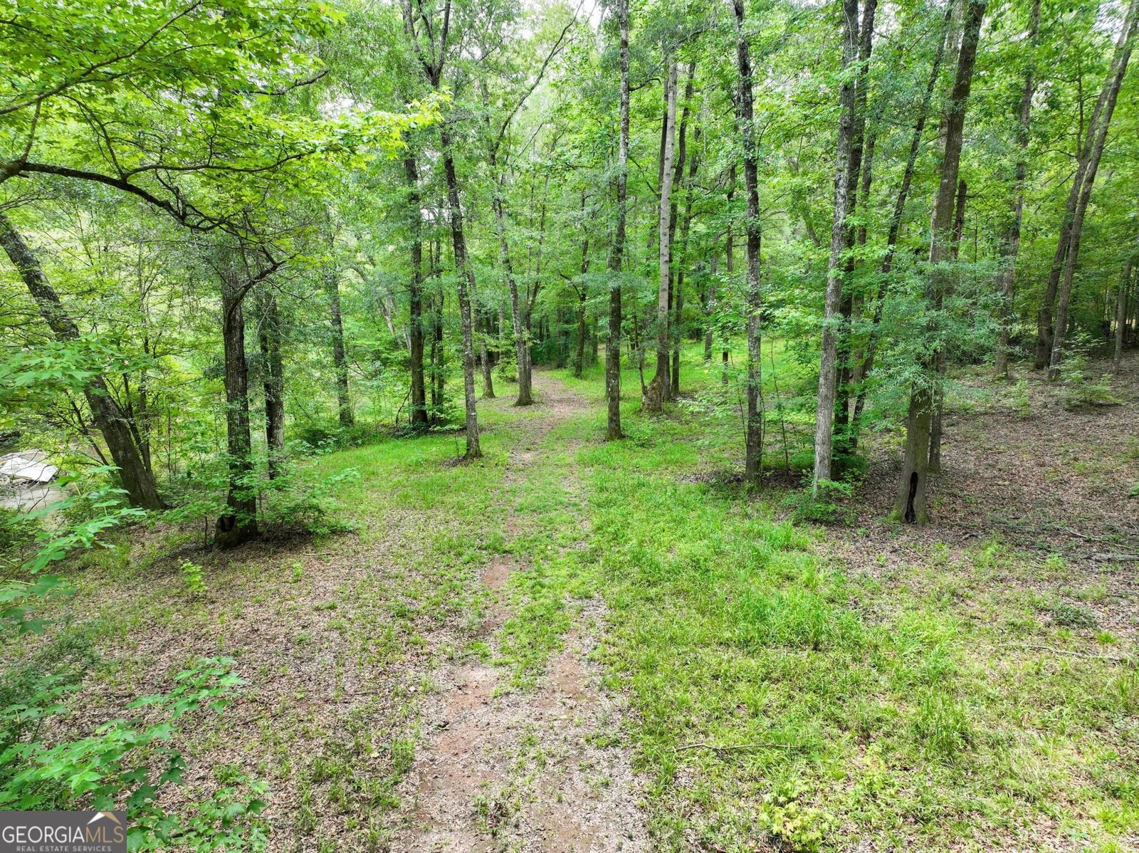 350 Harp Road Thomaston - Photo 100